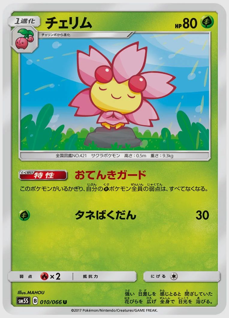 チェリム