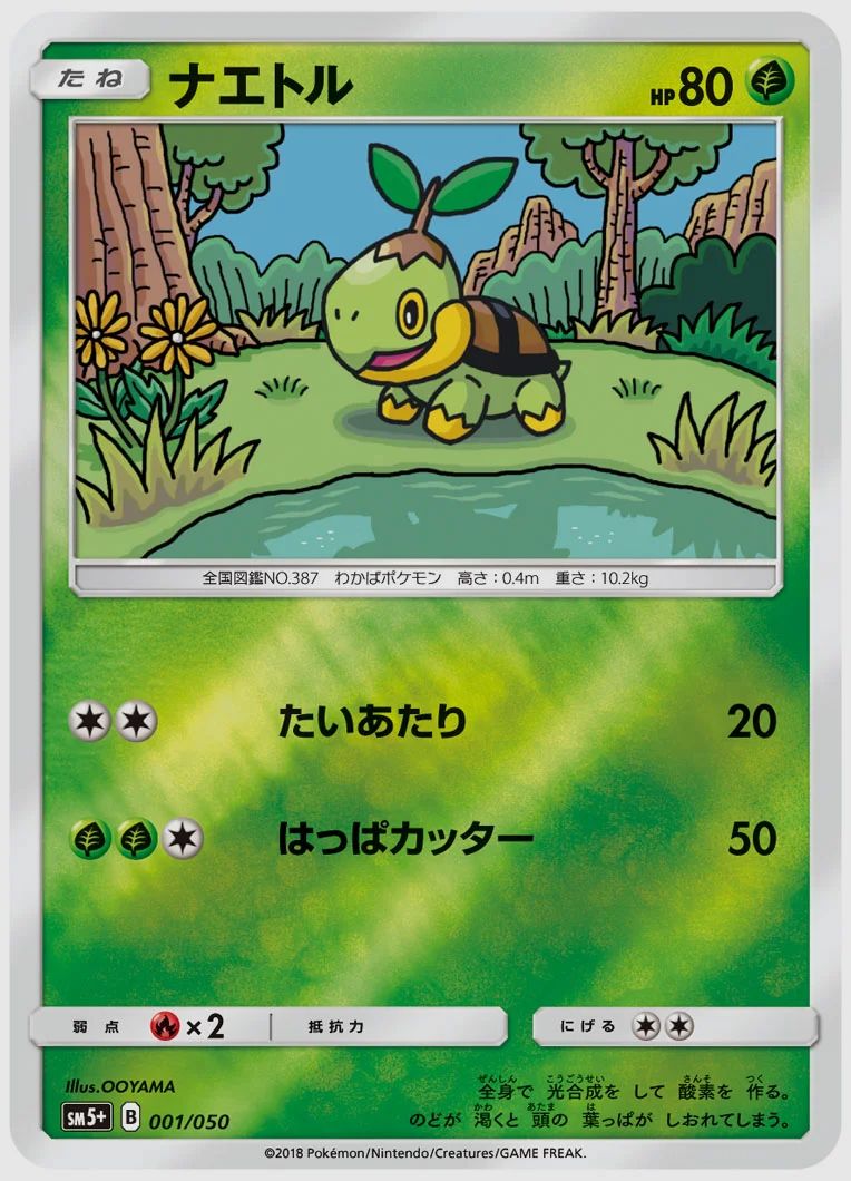 ナエトル