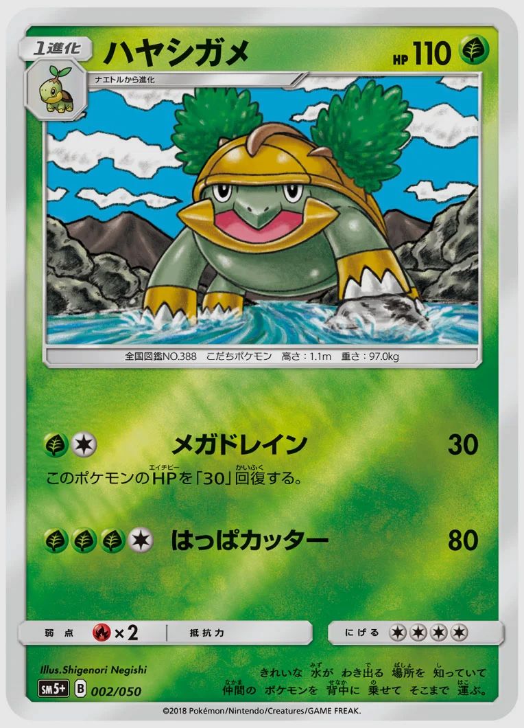 ハヤシガメ
