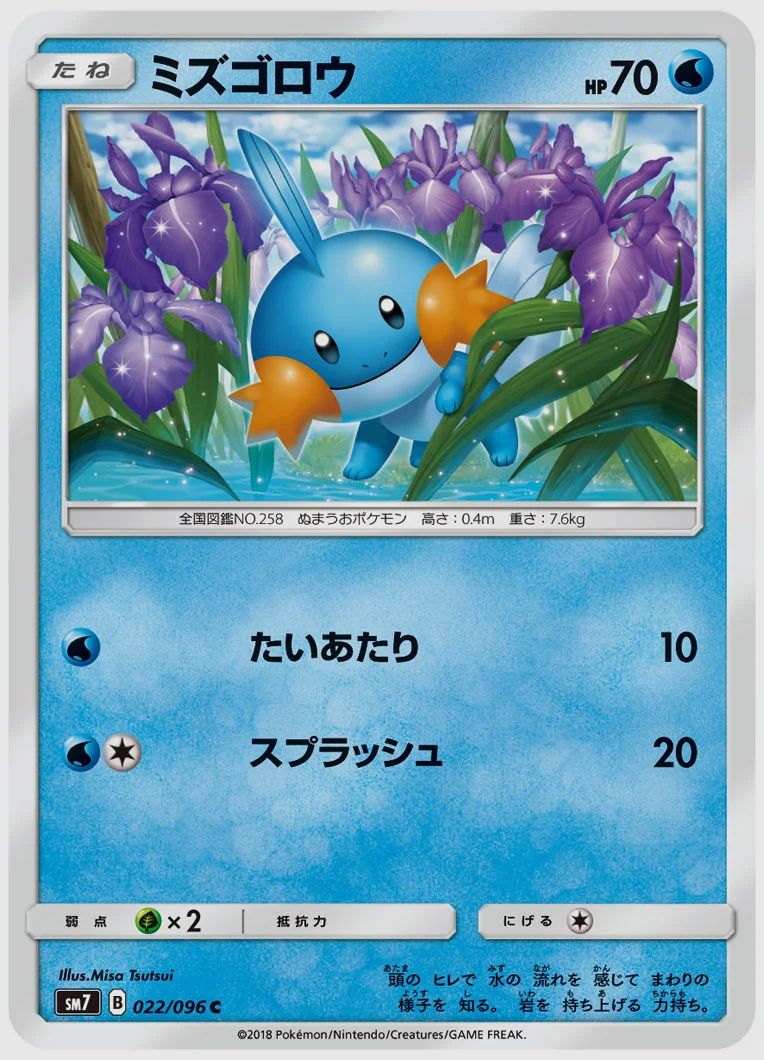 ミズゴロウ