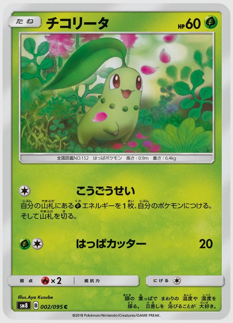 チコリータ