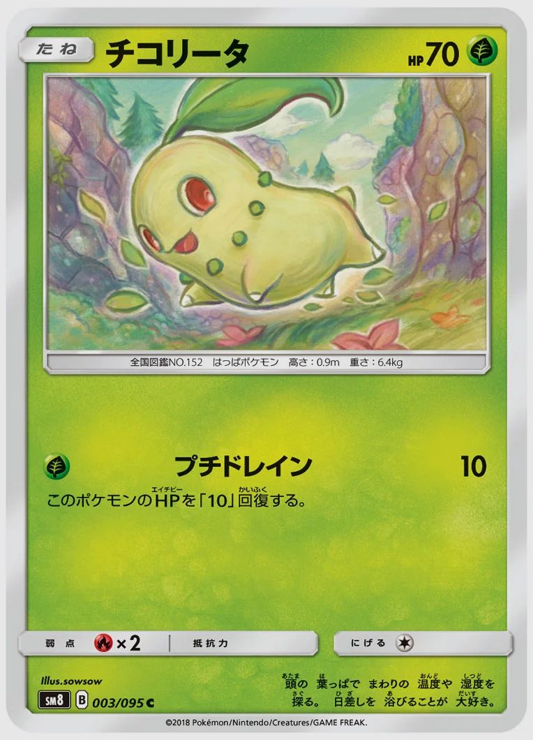 チコリータ