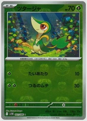ツタージャ