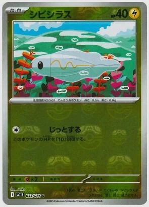シビシラス