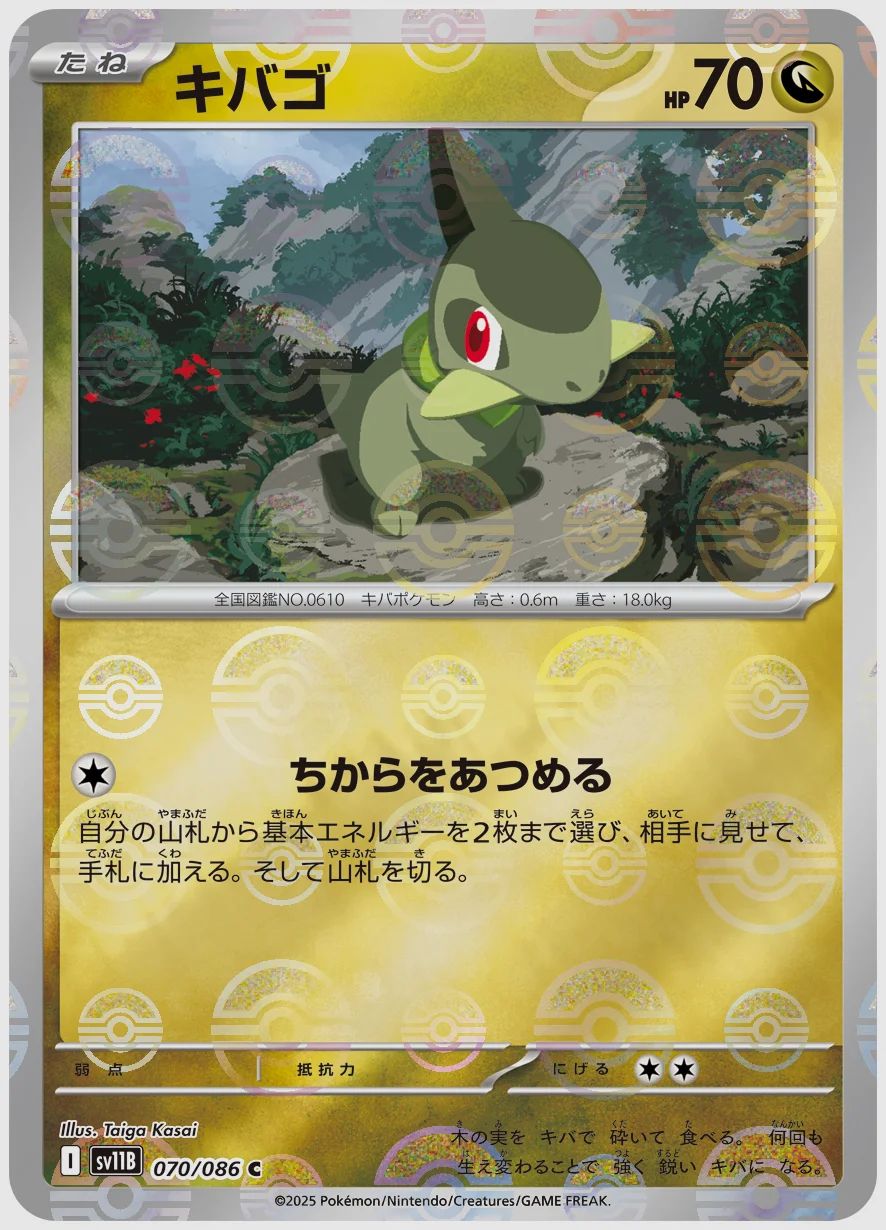 キバゴ