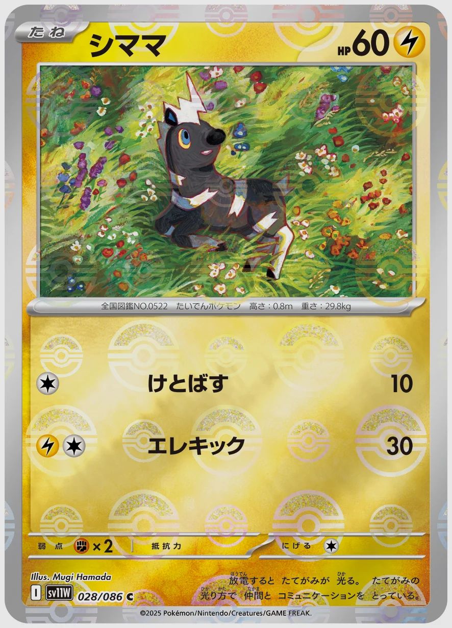 シママ