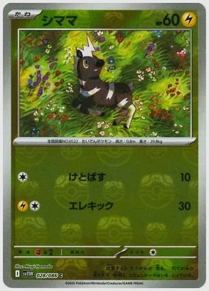 シママ