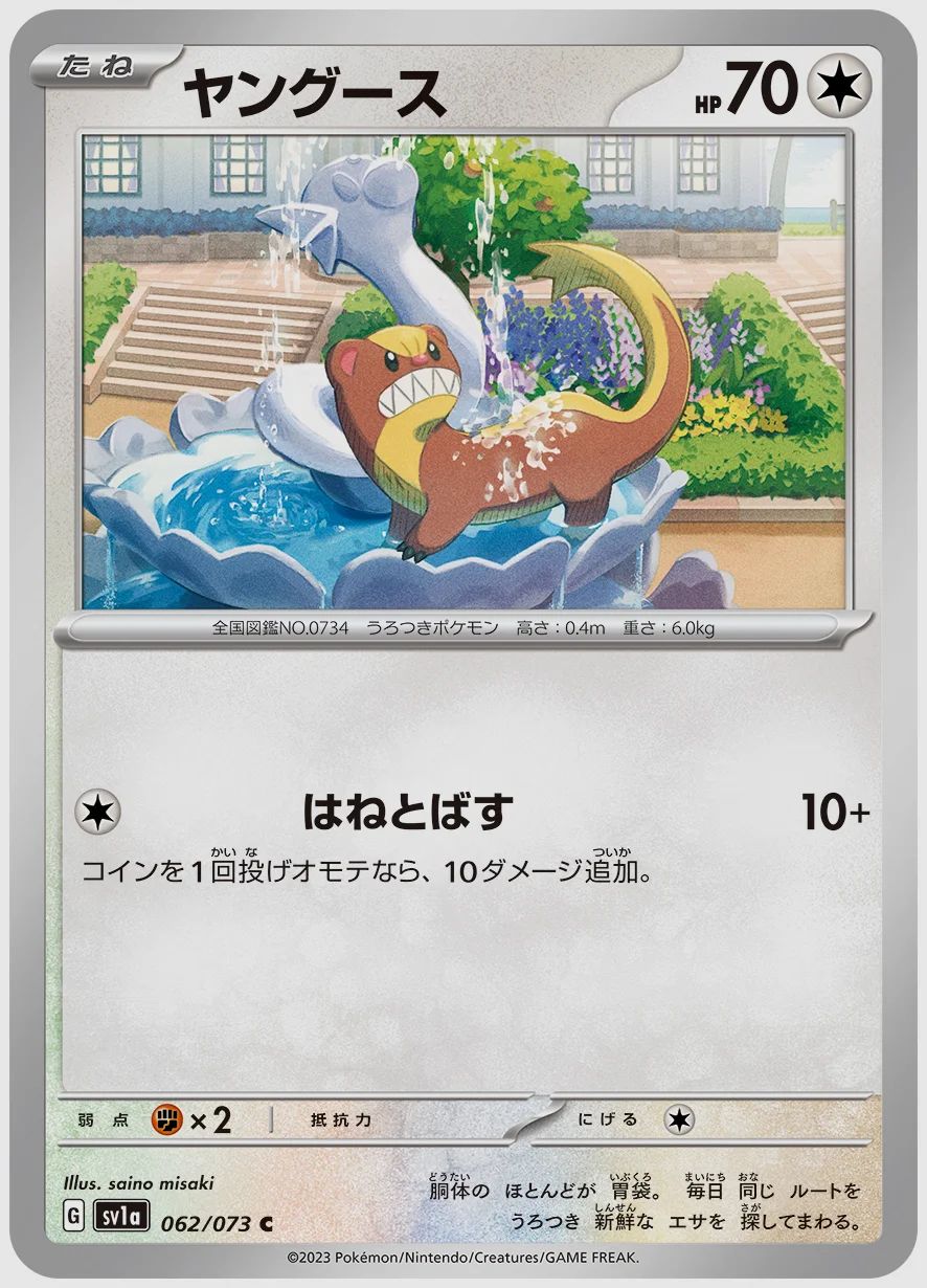 ヤングース