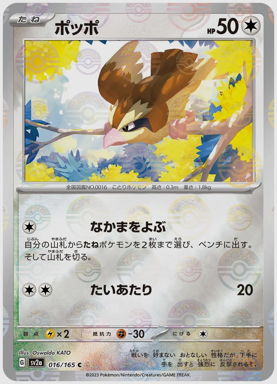 ポッポ