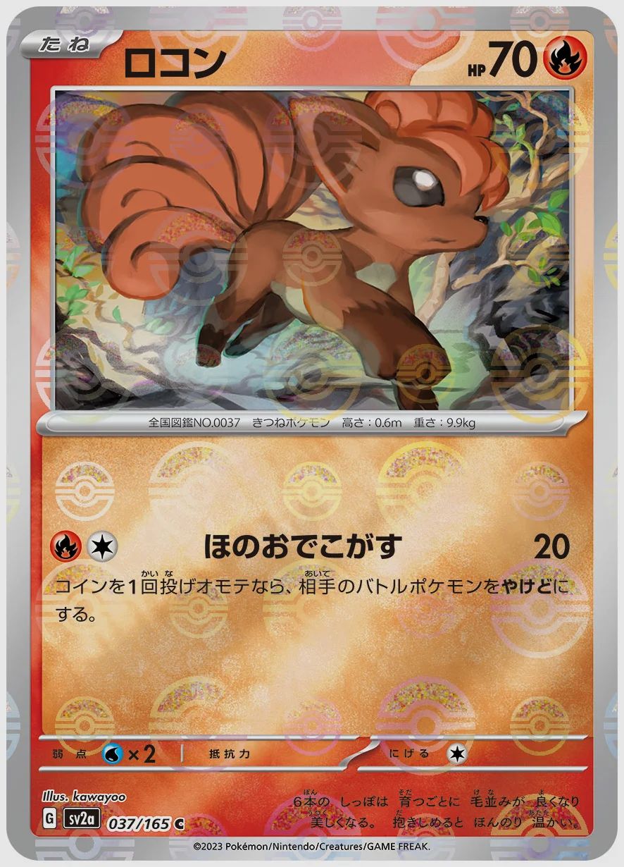 ロコン