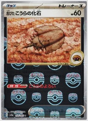古びたこうらの化石