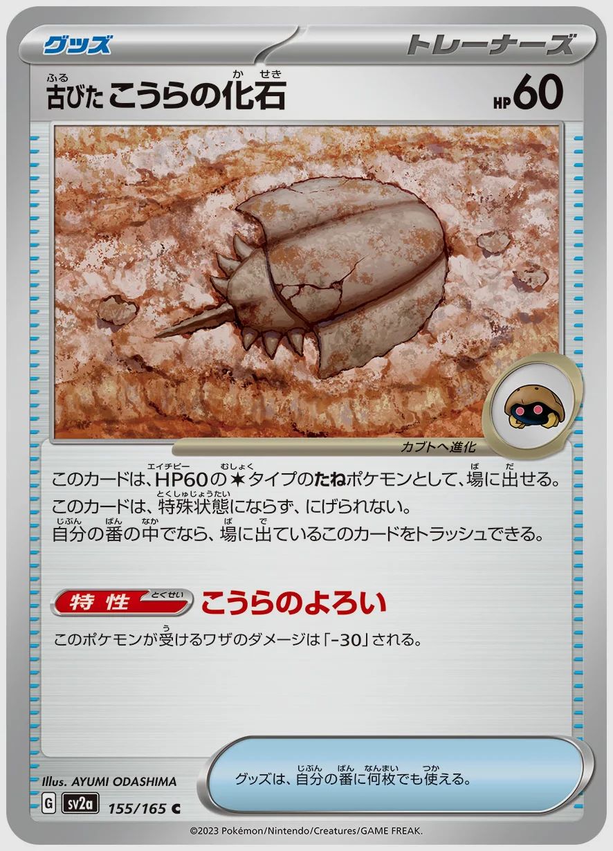 古びたこうらの化石