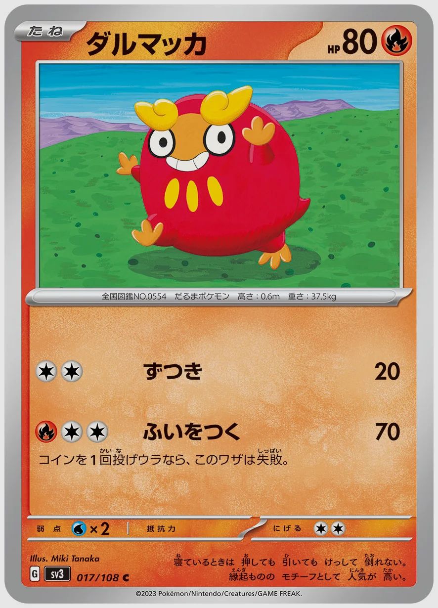 ダルマッカ