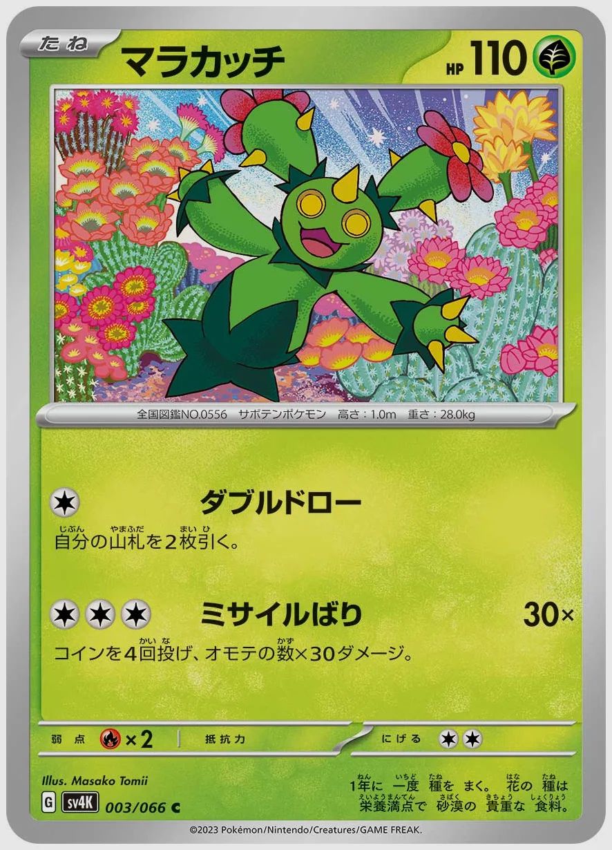 マラカッチ