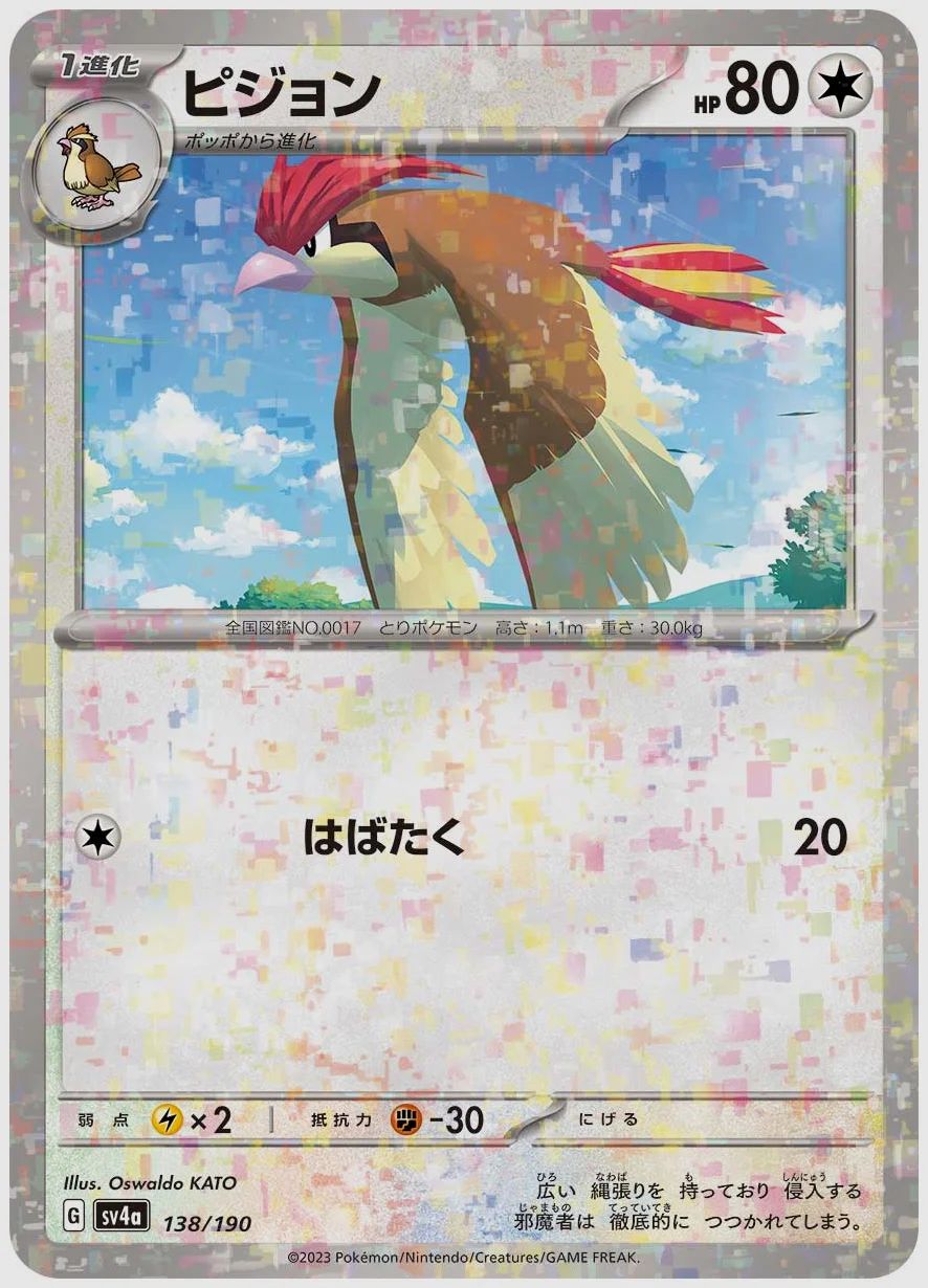 ピジョン