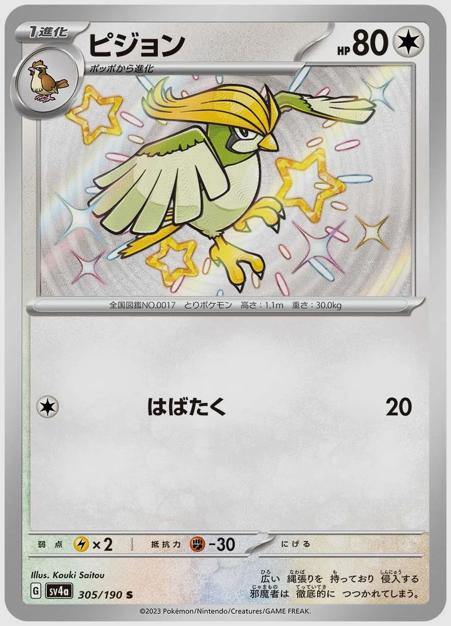 ピジョン