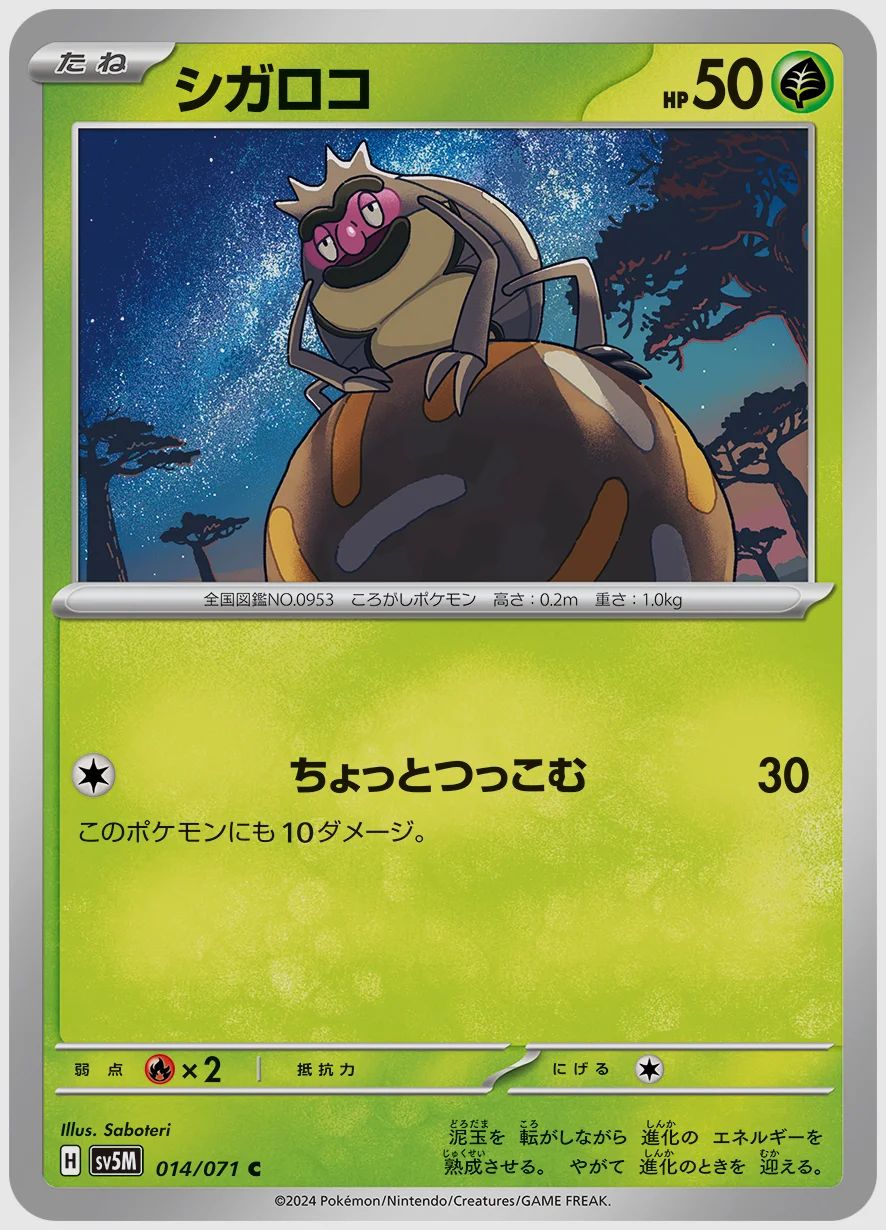 シガロコ
