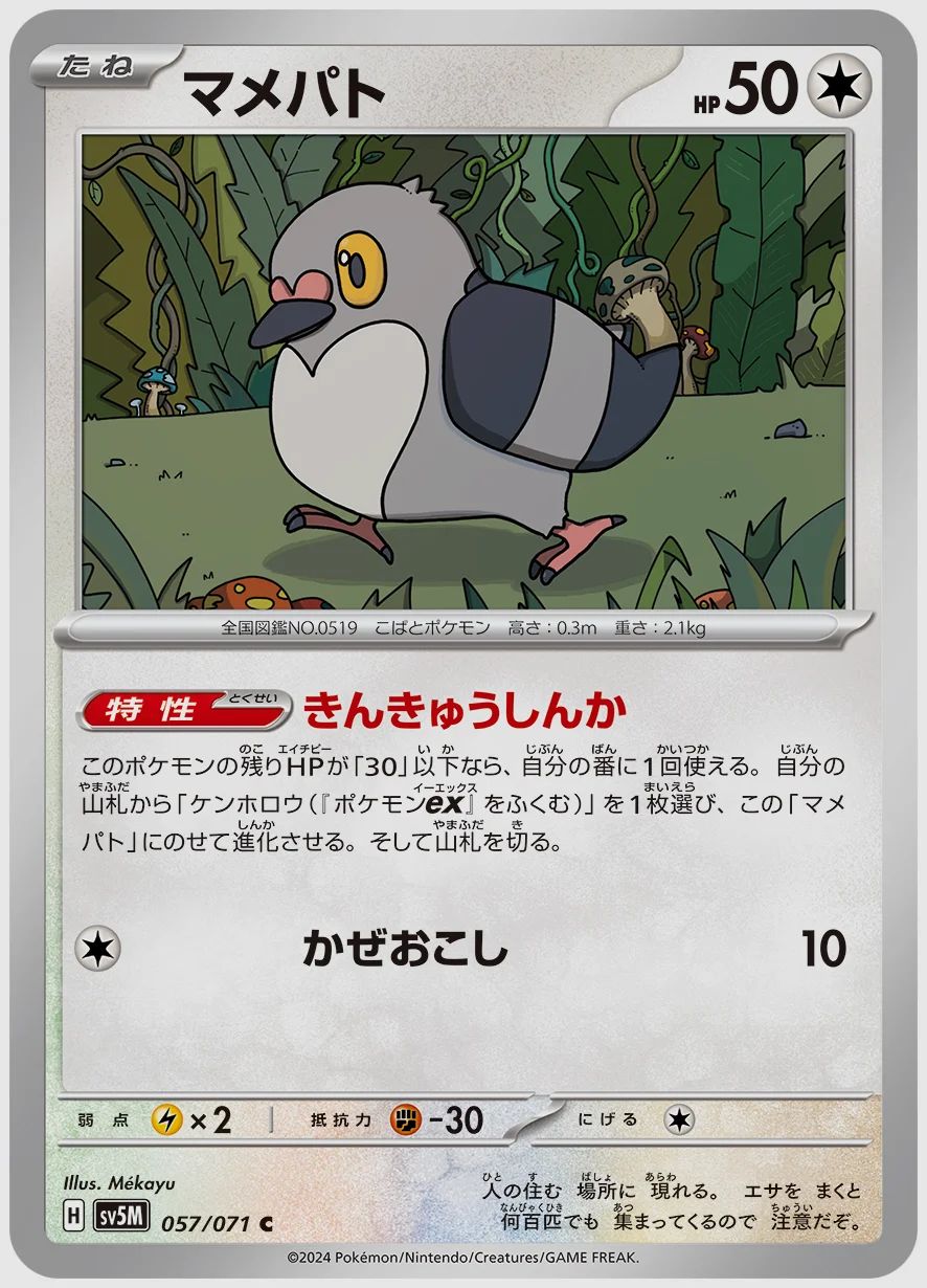 マメパト