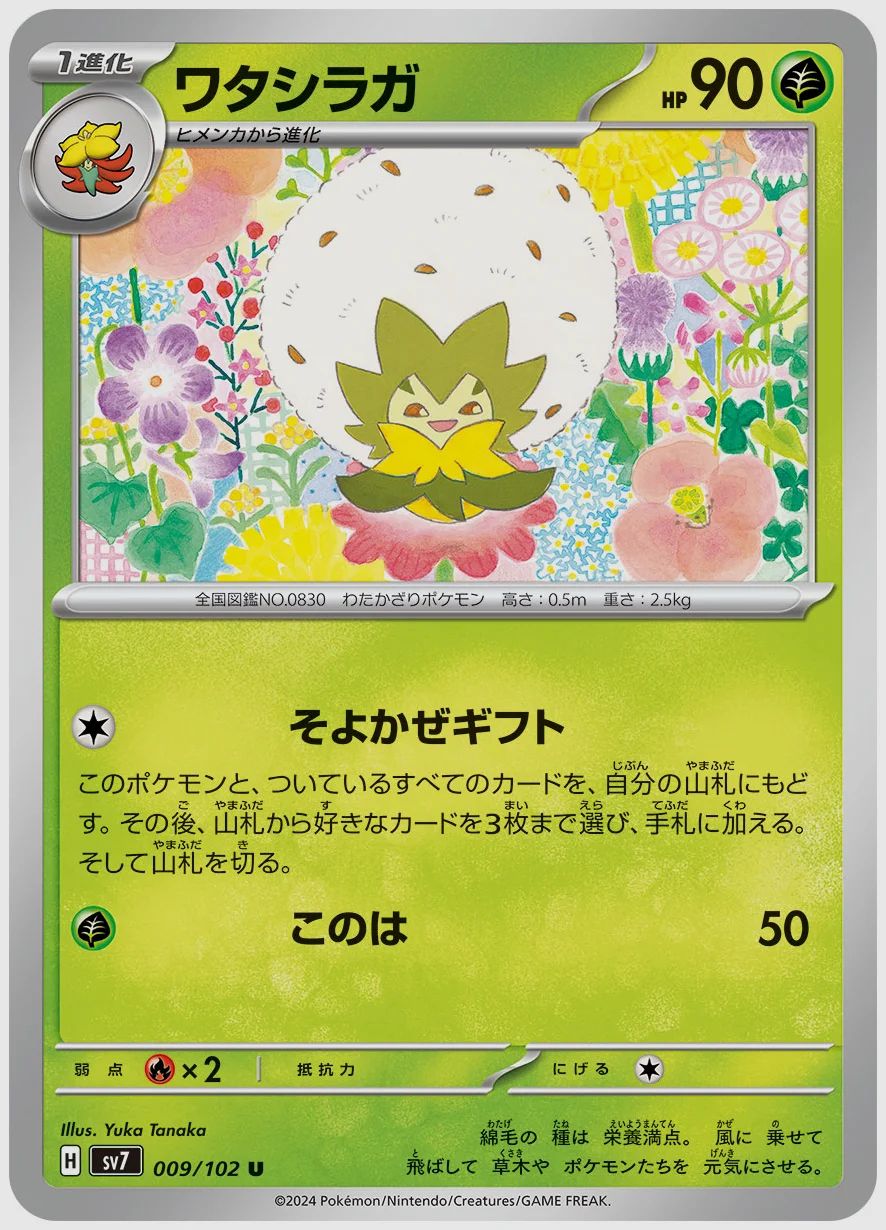 ワタシラガ