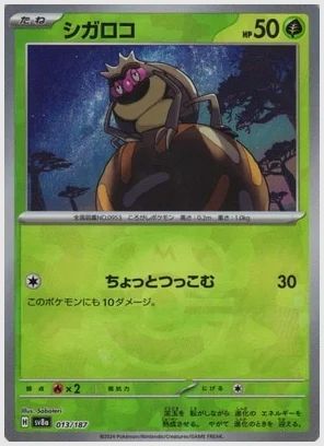 シガロコ