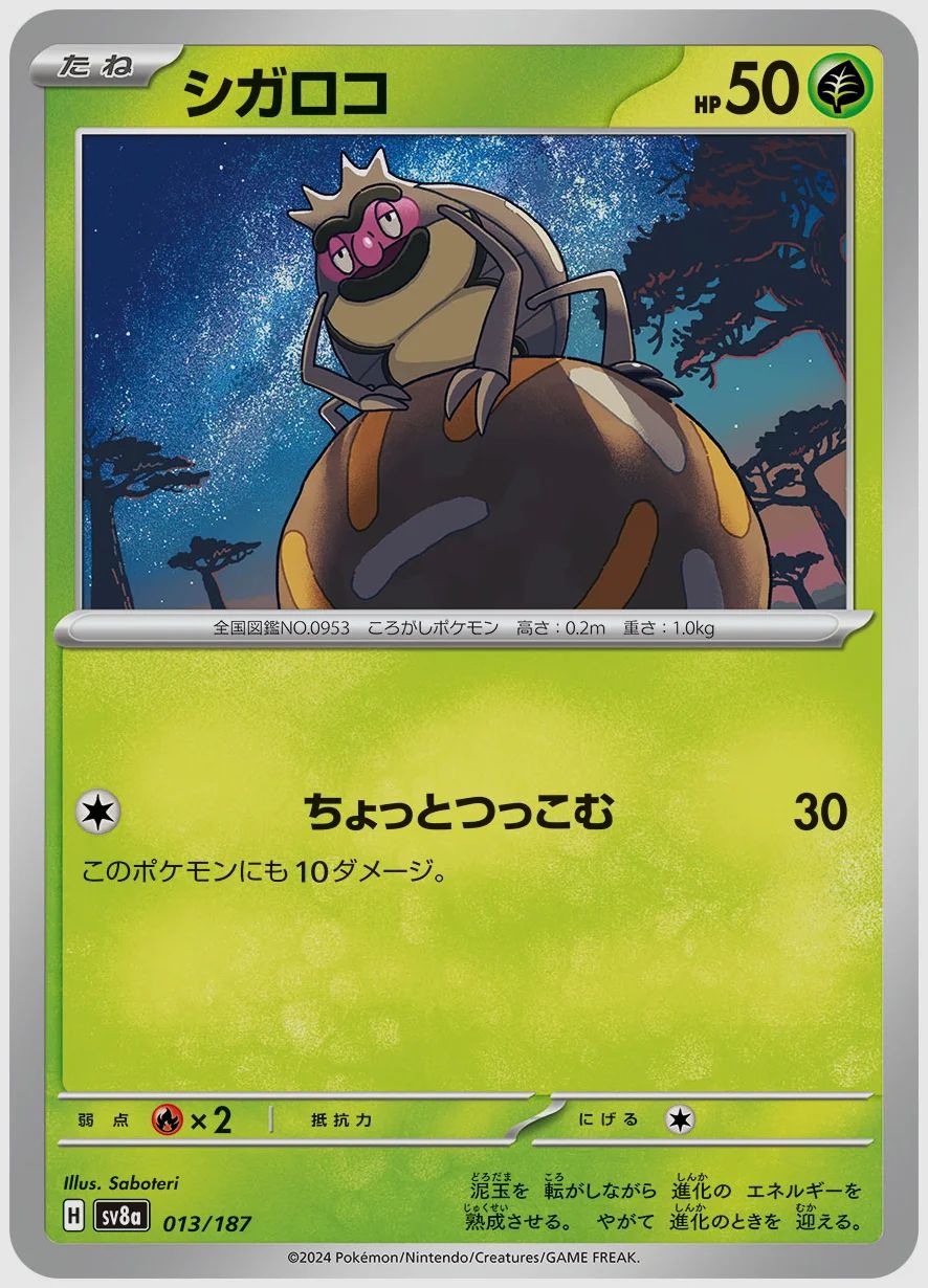 シガロコ