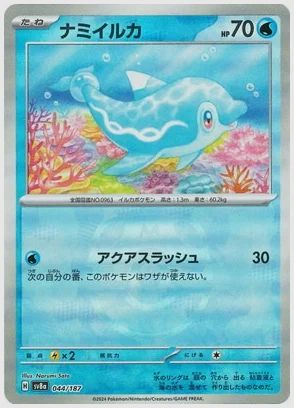 ナミイルカ