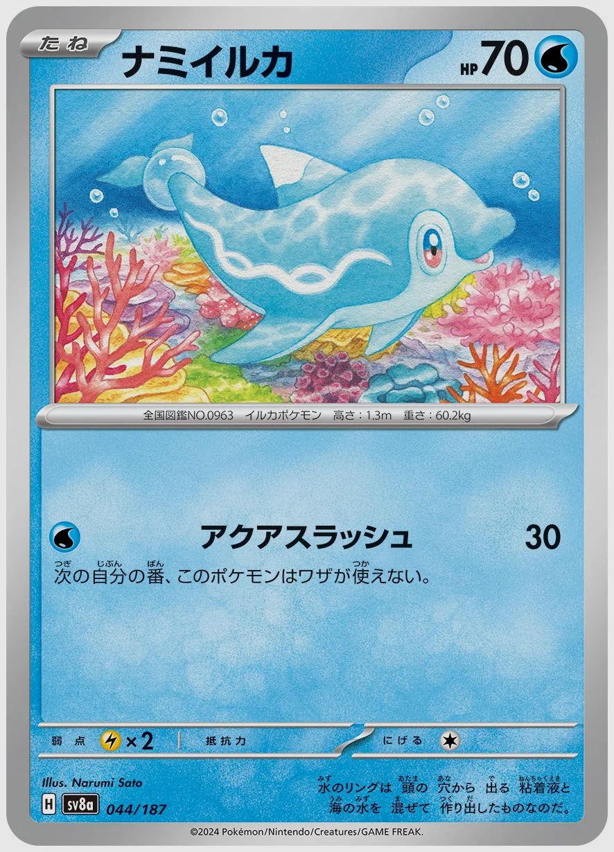 ナミイルカ