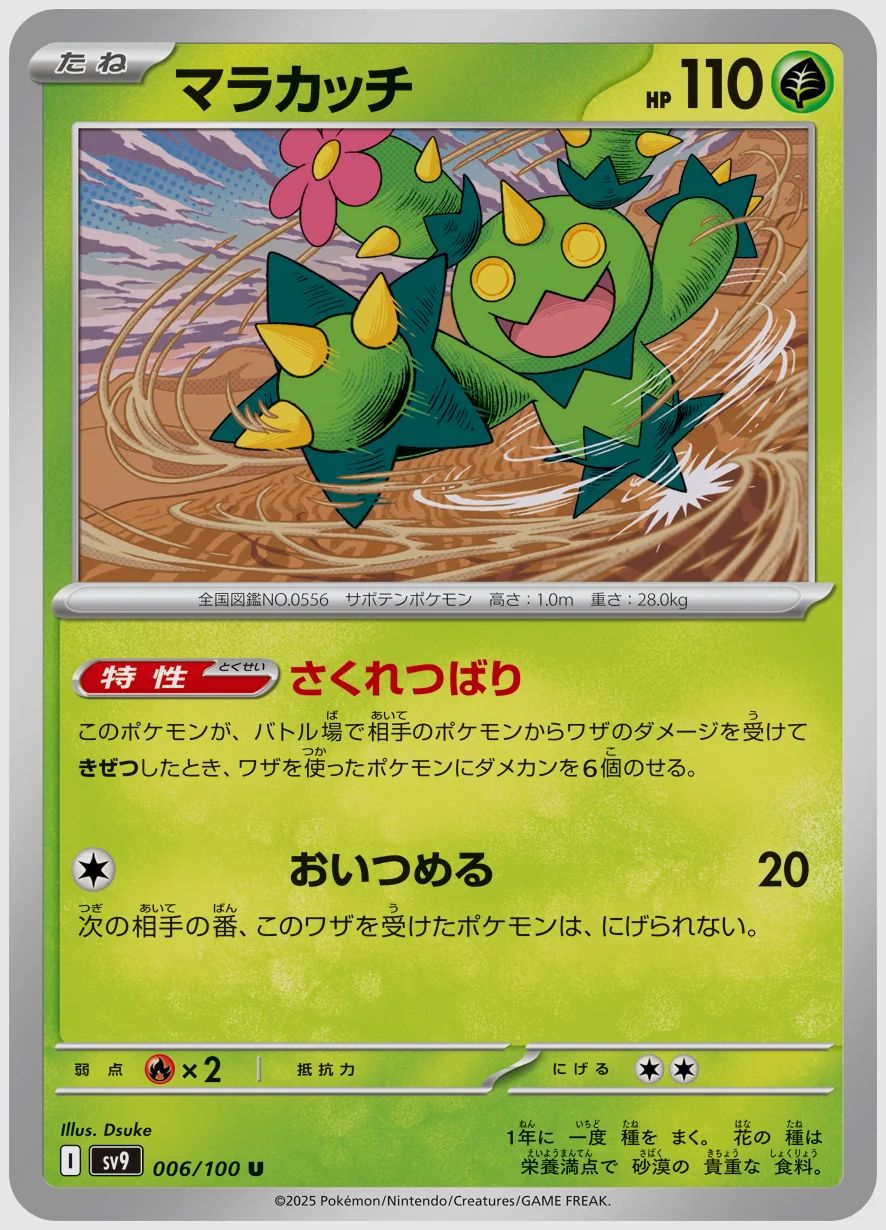 マラカッチ
