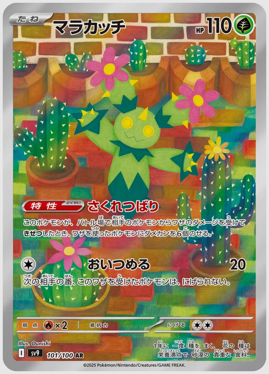 マラカッチ