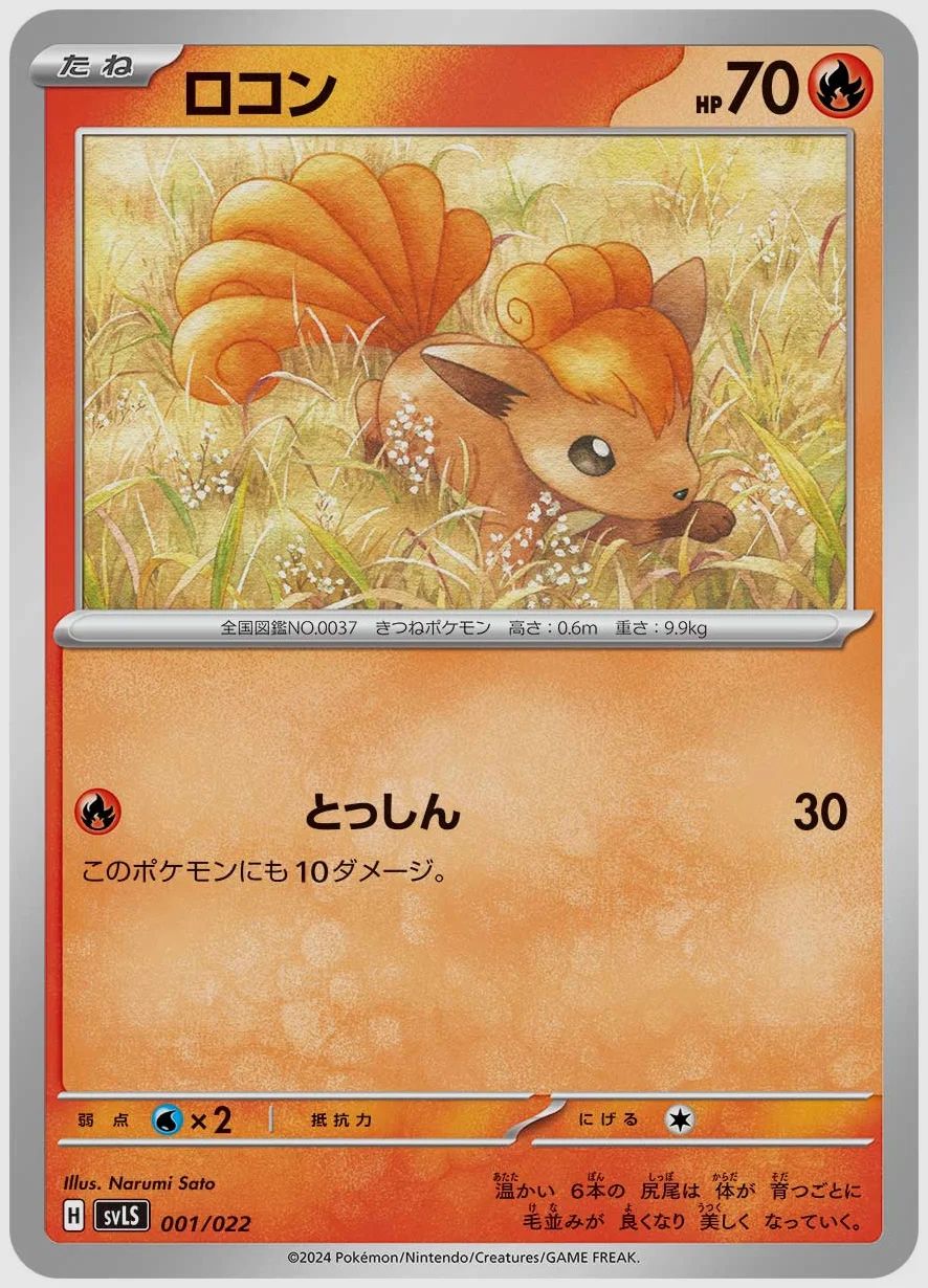 ロコン